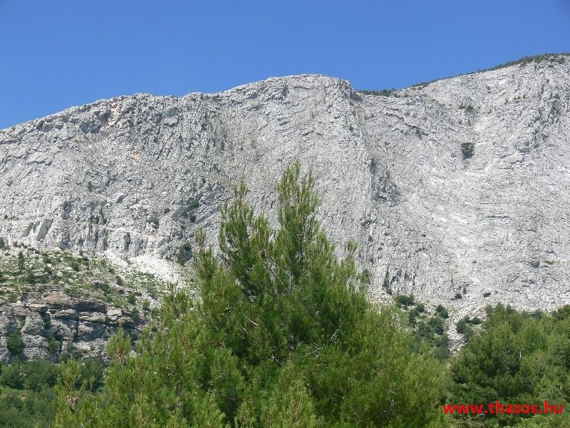 balazsh 2011